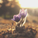 The Power of Resilience: How To Pick Yourself Back Up After a Difficult Situation
